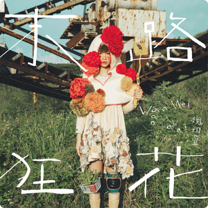 久久精品国产亚洲AV无码娇
